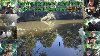 Waggler Fishing my secret raked swim pt2  River Wensum [upl. by Nytram152]