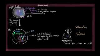 Khan Academy  How HIV Kills So Many CD4 T Cells [upl. by Anneiv425]