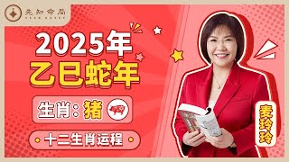 麦玲玲师傅详解2025蛇年运程：生肖猪！事业运、财运、人际关系、爱情、婚姻、健康全解析！ [upl. by Firehs]