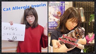 Cat Allergic Minase Inori meets Mugimaru Ōnishi Saoris Cat Eng Sub [upl. by Isnyl]