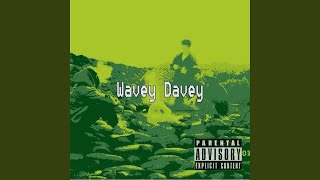 Wavey Davey [upl. by Yeleek]