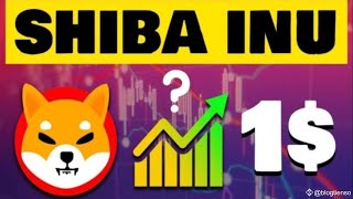 SHIBAINU 1 NEXT MOVE  SHIBA INU BIG NEWS IN HINDI [upl. by Pournaras]