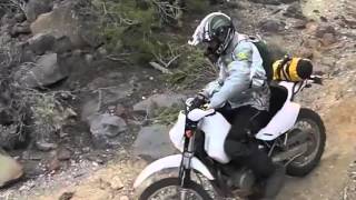 DR650 VS KLR650 at Pilars Diner [upl. by Robers]