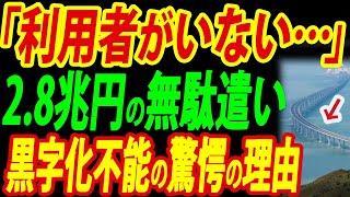 中国の世界最長海上大橋が不人気すぎて黒字化不能、28兆円の無駄遣いに【総集編】 [upl. by Pickar405]