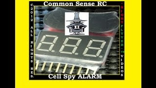 Common Sense RC Cell Spy Alarm Field test [upl. by Ayahs665]