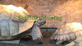 Schildkrötentag Neumarkt in der Oberpfalz [upl. by Anaihsat366]