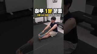 무릎 허리 통증 없애는 1분 운동 스트레칭 체형교정 운동 shorts [upl. by Justus54]