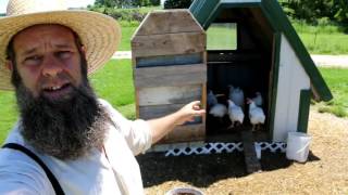 3 TRICKS TO RAISING CORNISH CHICKENS FOR MEAT [upl. by Noved]