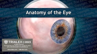 Anatomy of the Eye  Medical Animation [upl. by Pettifer]