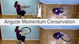 Wheel Conservation of Angular Momentum Demonstration and Solution [upl. by Denie]