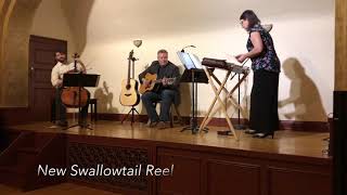 The Hundred PipersSwallowtail JigNew Swallowtail Reel  Hammered Dulcimer Cello amp Guitar [upl. by Billmyre]