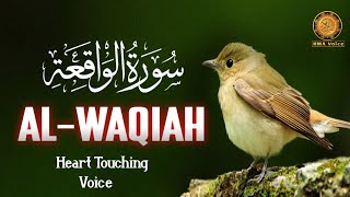 Surah AlWaqiah Full  Surah Waqiah Ki Tilawat سورة الواقعة Surah Waqiah Best Recitation HMAVOICE [upl. by Nayab]