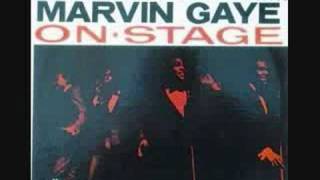 Marvin Gaye amp Tammi Terrell  06  Hold Me Oh My Darling by EarpJohn [upl. by Enelyk]