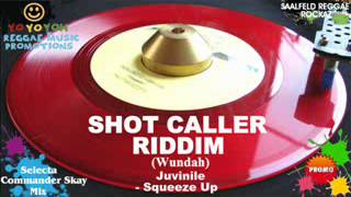 Shot Caller Riddim Mix August 2012 Wundah [upl. by Meggs659]