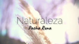 Naturaleza canción por Pacha Runa [upl. by Acinorahs848]