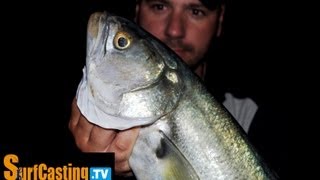 PESCA PESCE SERRA 23  PASSIONE SURFCASTING 2012 [upl. by Naes417]