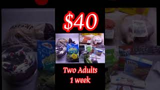 40 Extreme Grocery Budget grocerygetter haul food foodvlog [upl. by Rehtse927]