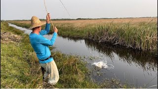 Essas planícies escondem lugares com muitos peixes pescaria de traíras carás e sardas [upl. by Josepha]