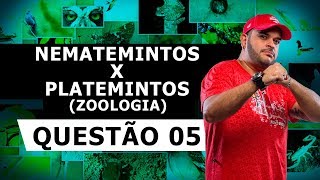 NEMATEMINTOS X PLATEMINTOS – QUESTÃO 05 – LISTA 23 ZOOLOGIA [upl. by Kermy618]