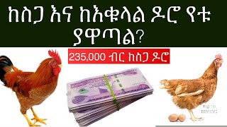 በ55 ቀን 235000 ብር [upl. by Miranda]