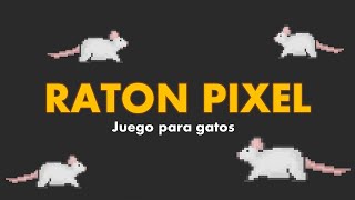 Juego para gatos  Raton pixel [upl. by Ver]