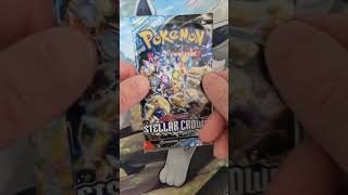 Master Set Monday Stellar Crown Binder Reveal pokémon stellarcrown masterset tradingcards [upl. by Keen]