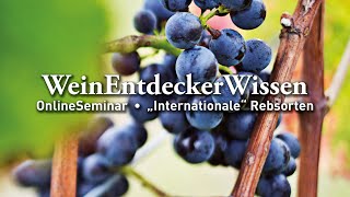 🍇Internationale Rebsorten🍇– WeinEntdeckerWissen OnlineSeminar [upl. by Ronoel629]