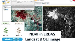 Normalized Difference Vegetation Index NDVI calculation in ERDAS [upl. by Idnahk]