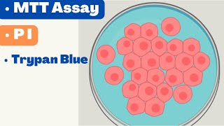 🛑 CELL VIABILITY ASSAYS  MTT Assay  Alamar Blue  Propidium Iodide  Cell TIter Glo [upl. by Baelbeer]