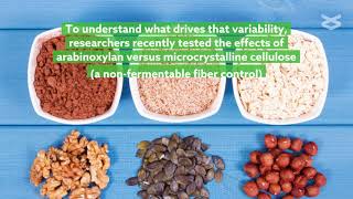 Corn bran fiber modulates gut microbiota in individuals with overweight and obesity [upl. by Yoccm]