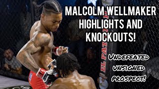 Malcolm Wellmaker Highlights and Knockouts 2024 [upl. by Sikata]