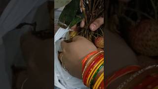 lichi lichi short feed videotrending video [upl. by Alby]