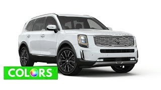 2020 Kia Telluride Colors [upl. by Novehc265]