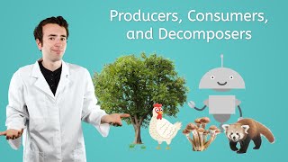 Producers Consumers and Decomposers  General Science for Kids [upl. by Adnesor]