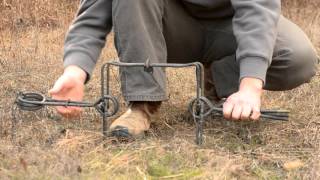 Fur Trapping  How to set a Conibear Trap [upl. by Suhail]