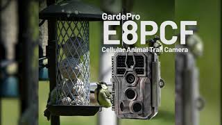 GardePro E8PCF 2024 Wifi trail camera Bird camera Trailcam [upl. by Bailey]