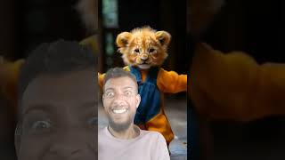 Tiger dance tiger dance cute animals funny shortvideo [upl. by Yraht]