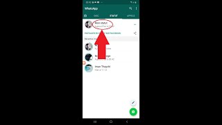 comment voir le statut whatsapp de quelquun sans le laisser savoir 2021 [upl. by Ambrosi389]