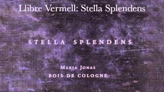 Llibre Vermell Stella splendens  14th c Spain [upl. by Almap]