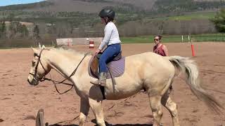 Horseback riding lessons  My Second one [upl. by Ttayh]