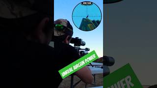 Unreal Airgun Power  Invasive Starling  FX Impact  Best PCP Airguns in the world  FX Airguns [upl. by Cerracchio]