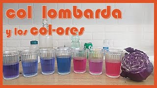 🔬 Experimento COL LOMBARDA y los COLORES [upl. by Port]