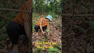 Single woman boils eggs with leaves [upl. by Soo]