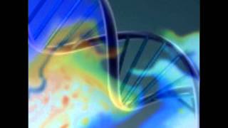 Language of Light DNA activation [upl. by Grimaldi]