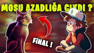 MOSU AZADLIĞA ÇIXDI   STRAY  FİNAL [upl. by Wendel]