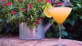 Basil Grapefruit Martini Cocktail Recipe [upl. by Eversole462]