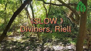 Diviners Riell  Slow  NCS Lyrics [upl. by Ahsaf327]