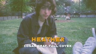 Heather  Conan Gray Fall Cover Lyrics amp Vietsub [upl. by Balas]