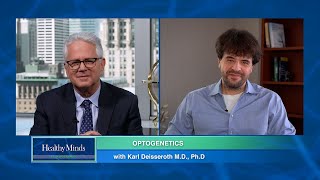 Healthy Minds Optogenetics with Karl Deisseroth MD PhD  Part Two [upl. by Inttirb80]