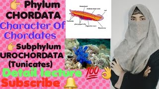 Phylum ChordataSubphylum UrochordataTunicates Maintenance FunctionsReproductionDevelopment [upl. by Saduj81]